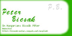peter bicsak business card